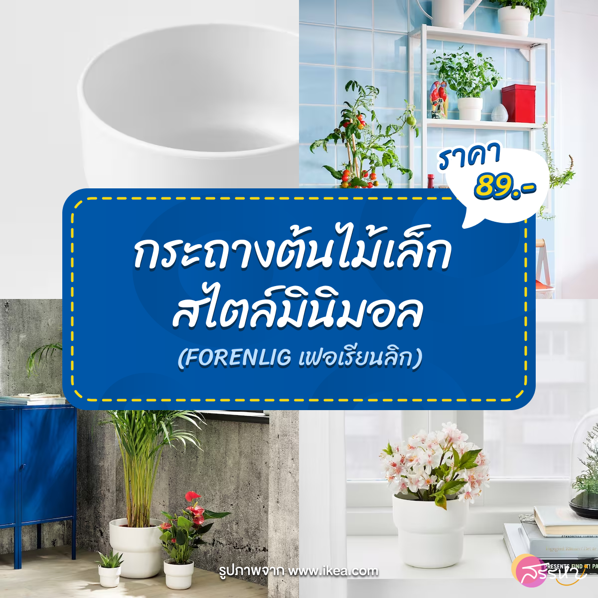 10 ของตกแต่งบ้านที่ IKEA งบไม่เกิน 1 ใบม่วง !!!