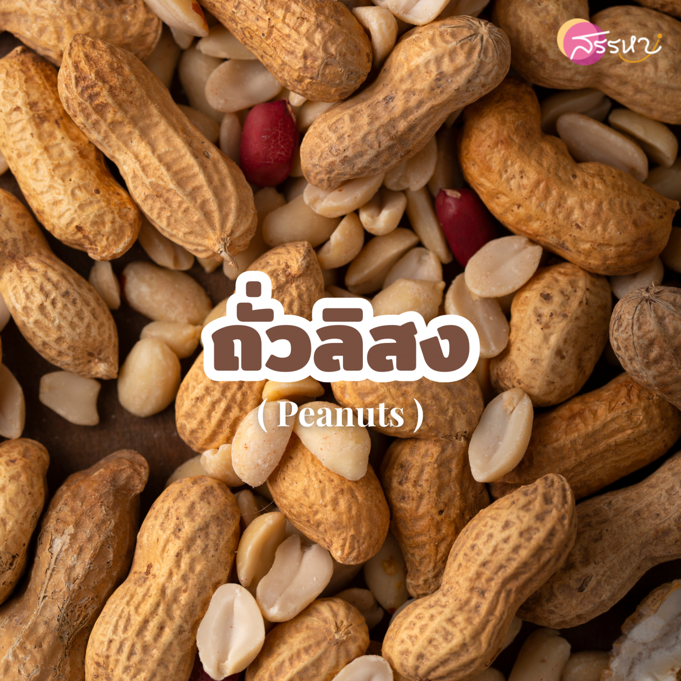 ถั่วลิสง (Peanuts)