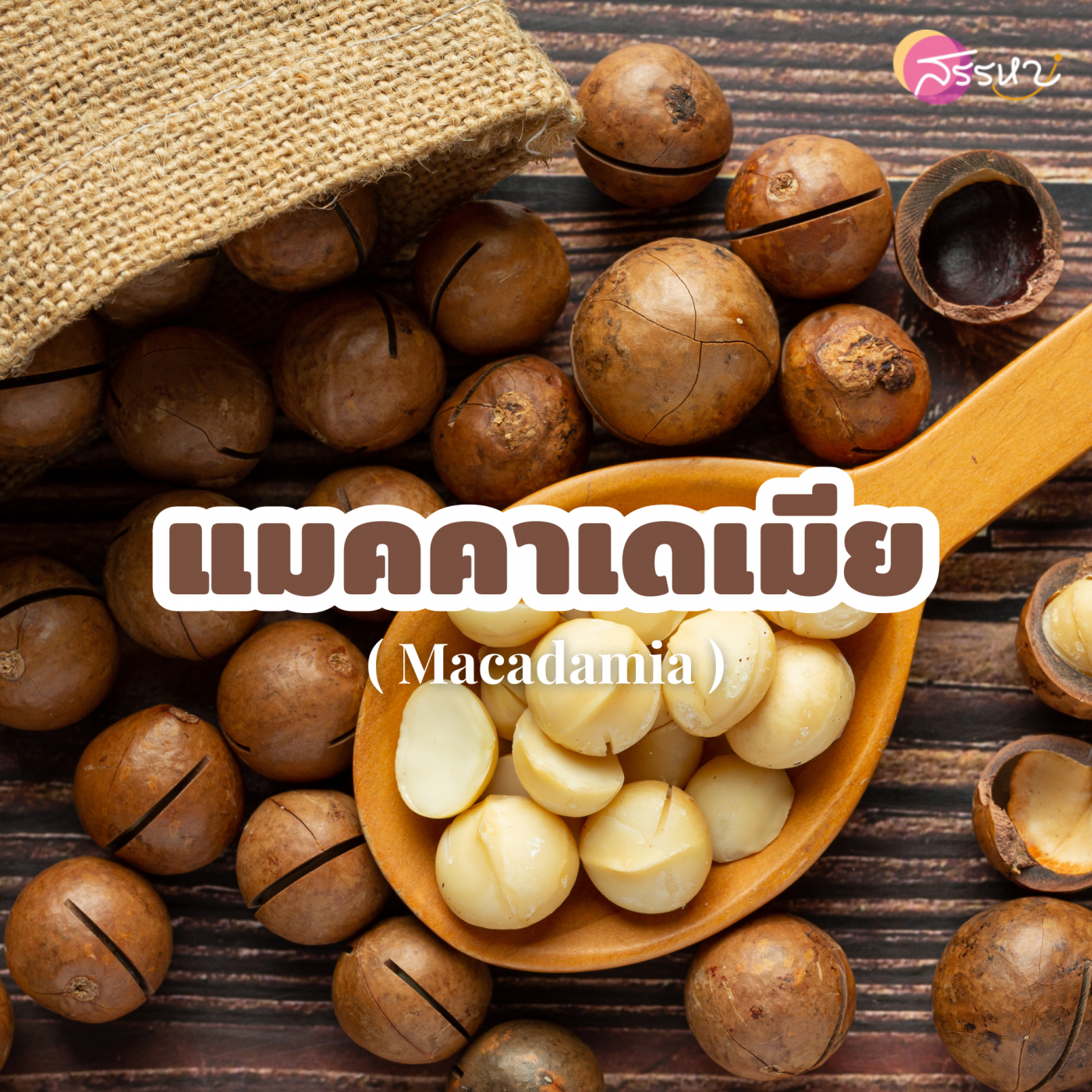 แมคคาเดเมีย (Macadamia)