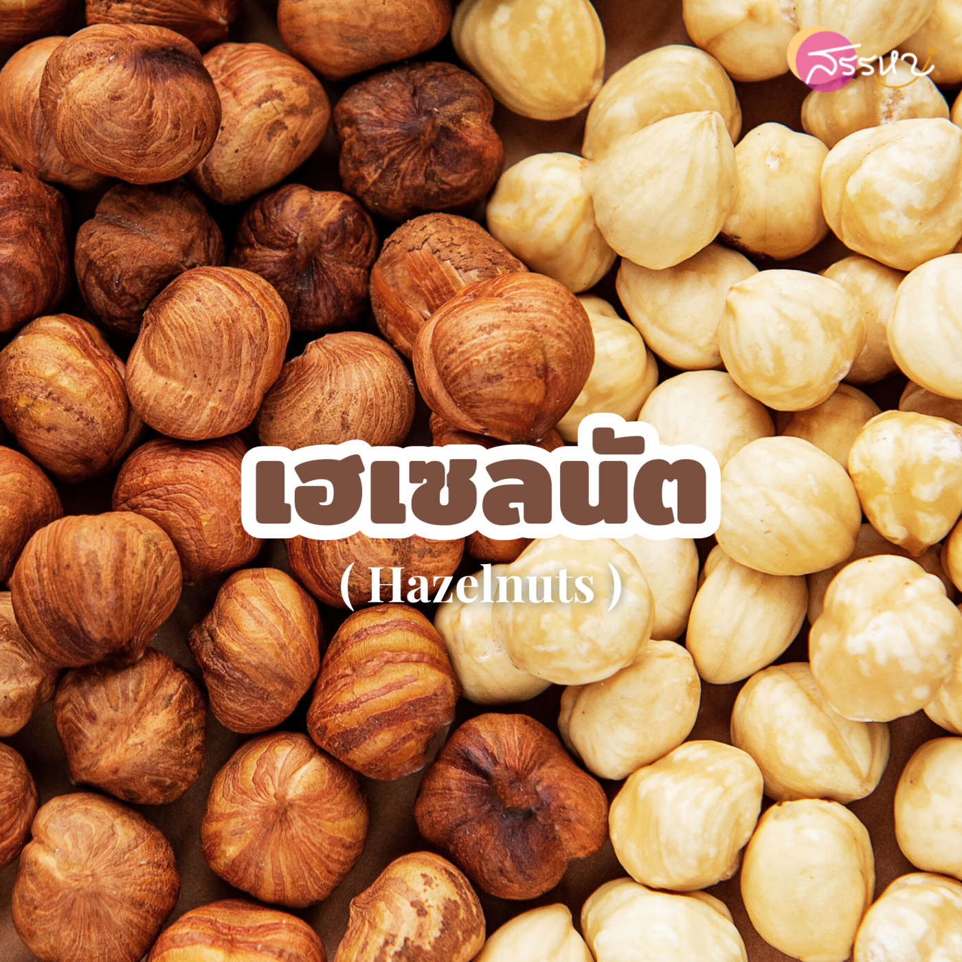 เฮเซลนัต (Hazelnuts)
