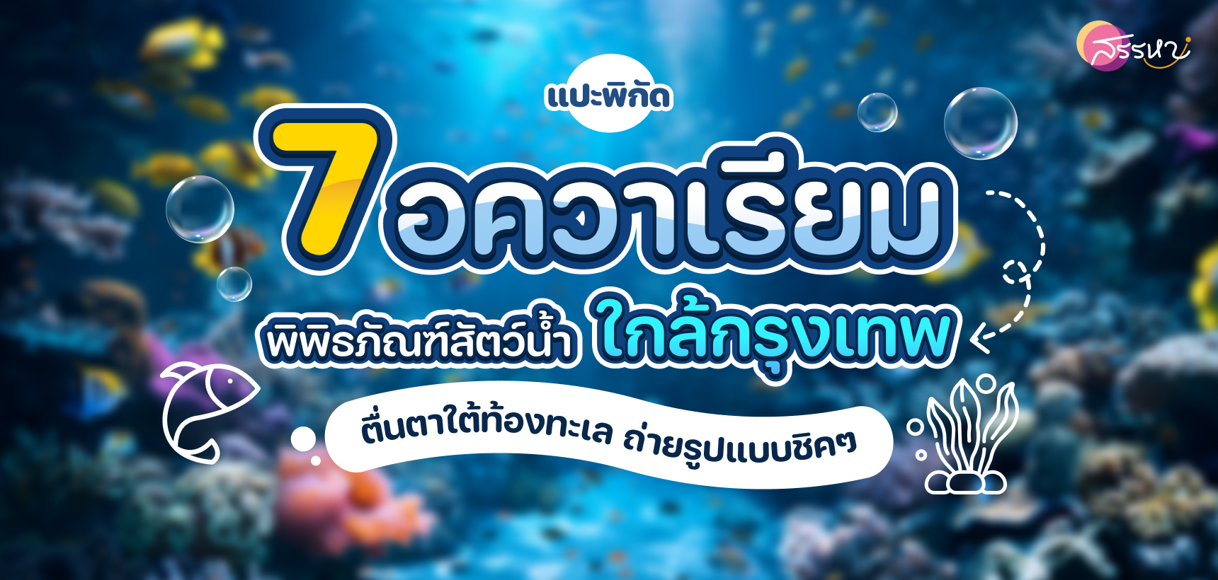 แปะพิกัด 7 อควาเรียม พิพิธภัณฑ์สัตว์น้ำ ใกล้กรุงเทพ ตื่นตาใต้ท้องทะเล ถ่ายรูปแบบชิคๆ